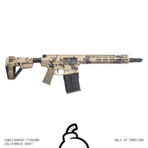N6 PISTOL [308]