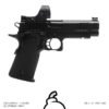 P [SRO + 5 MAGS]