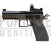 P09 CAJUN GUN WORKS