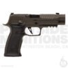 P320 [AXG LEGION]