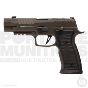 P320 [AXG LEGION]