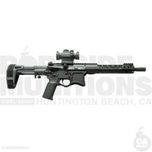 AR PISTOL [SEEKINS LOWER]