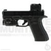 G45 [Steiner MPS, TLR7A]