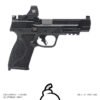 M&P 2.0 [OFF ROSTER APEX]