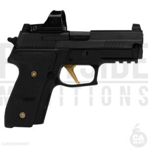 P229