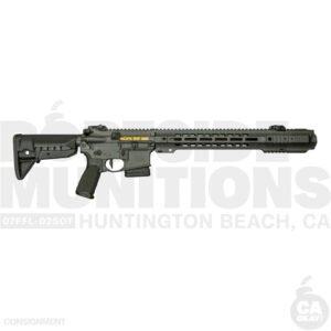Salient Arms GRY Rifle