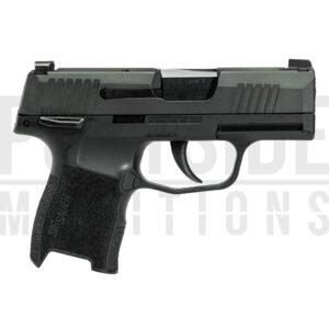 P365 W/ 1 MAG