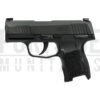 P365 W/ 1 MAG